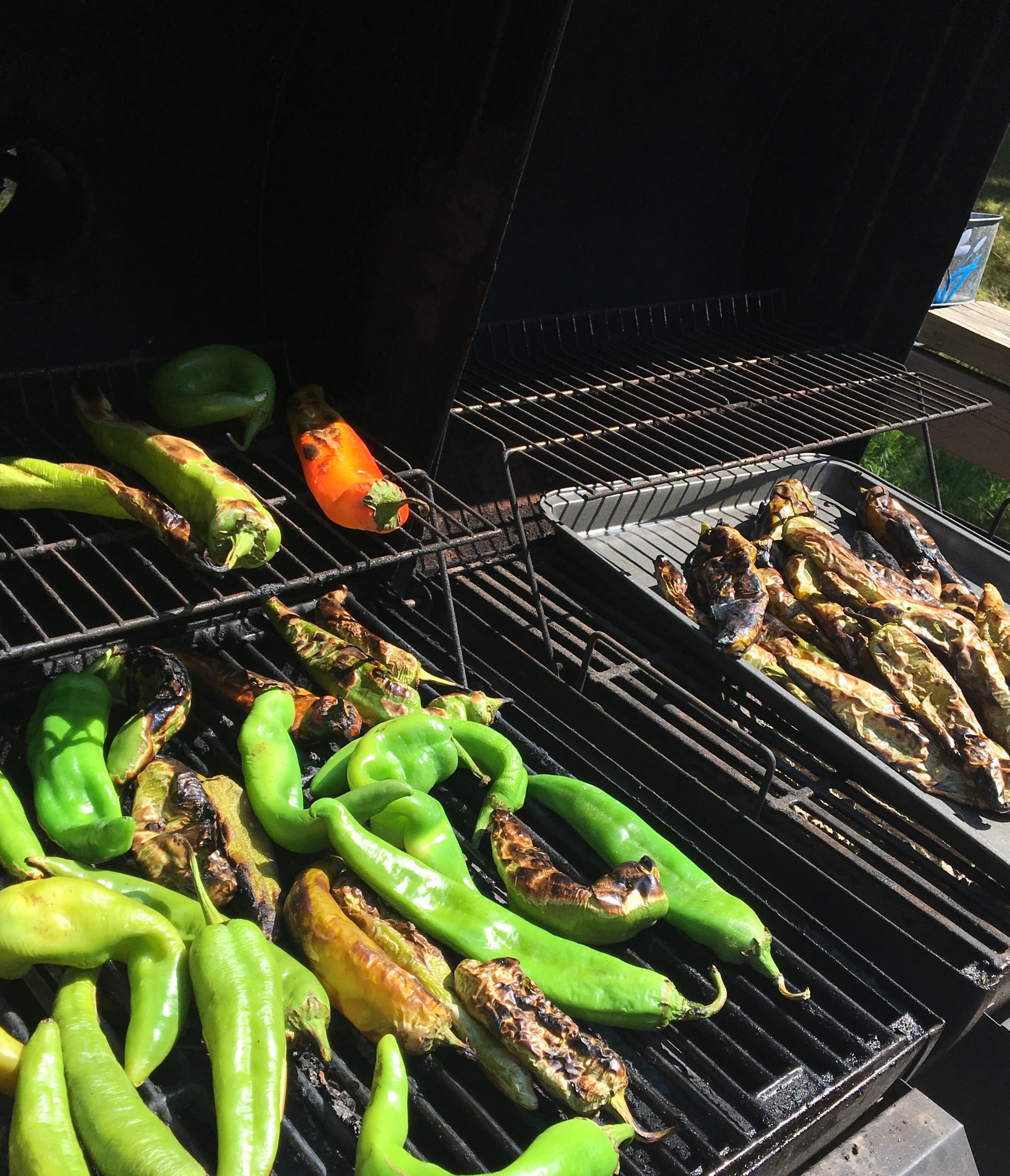 Family Traditions-Fire Roasted Chile Peppers 