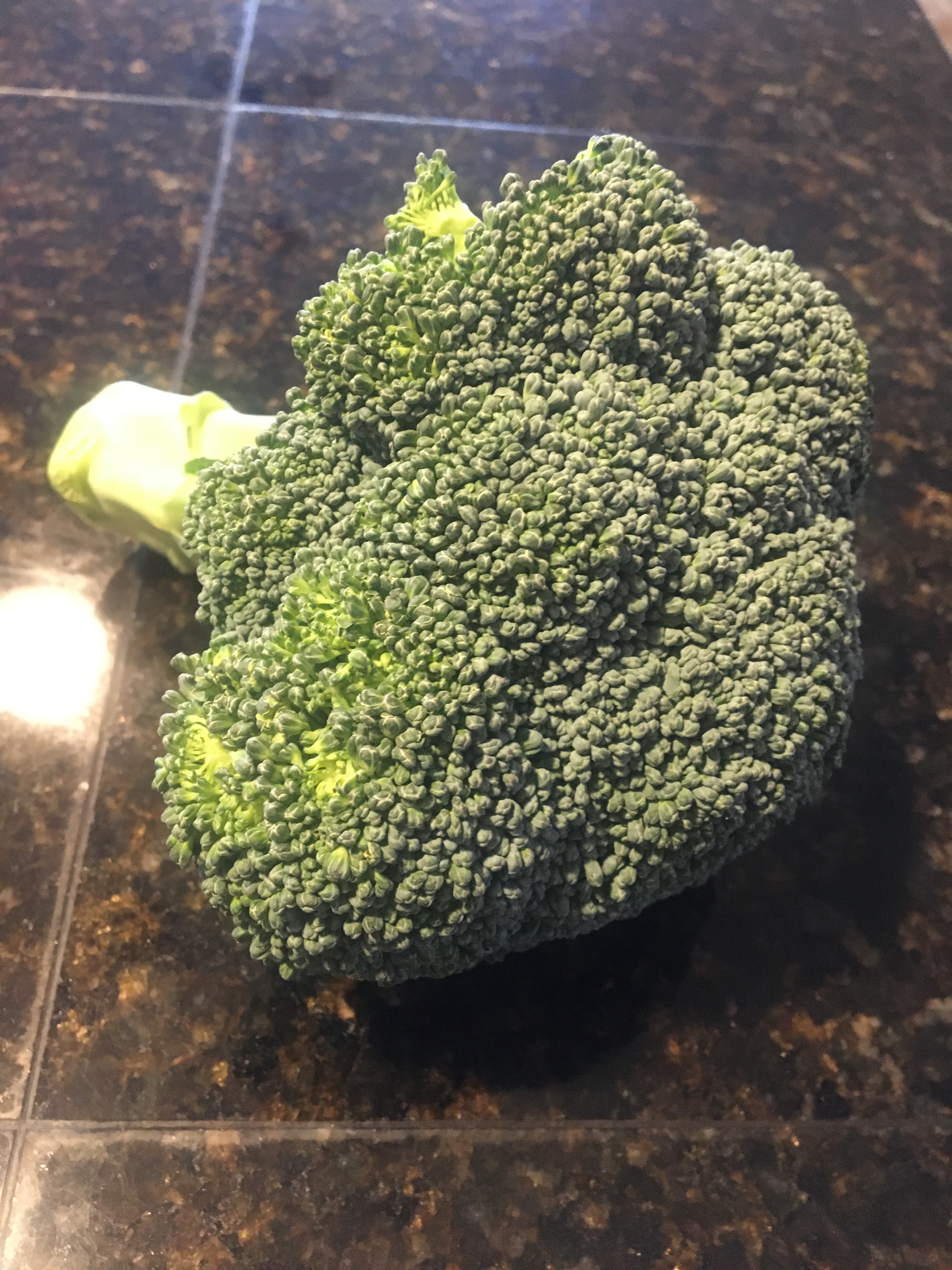 Freeze the Fresh -smart conserving ideas and home project!