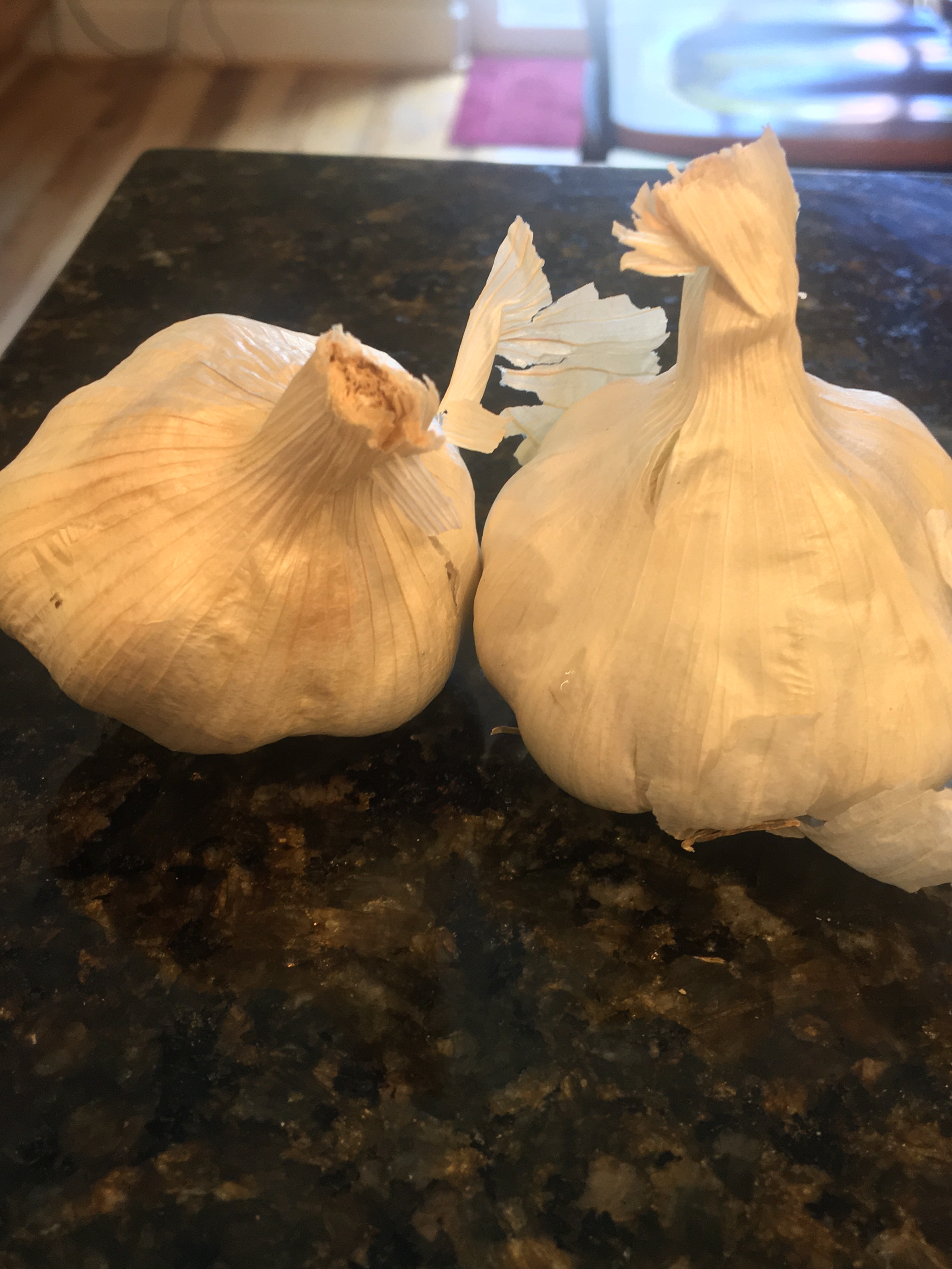 Canning Time- Garlic
