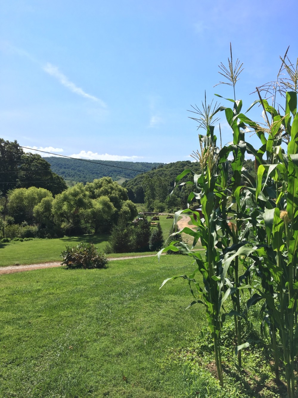 Poor Farm of Craig County on Sinking Creek.
